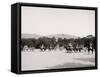 Light Artillery Drill, Horse Battery, Forward, West Point, N.Y.-null-Framed Stretched Canvas