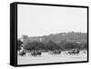 Light Artillery Drill, Horse Battery, under Way, United States Military Academy, West Point, N.Y.-null-Framed Stretched Canvas