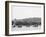 Light Artillery Drill, Horse Battery, under Way, United States Military Academy, West Point, N.Y.-null-Framed Photo