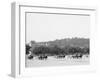 Light Artillery Drill, Horse Battery, under Way, United States Military Academy, West Point, N.Y.-null-Framed Photo