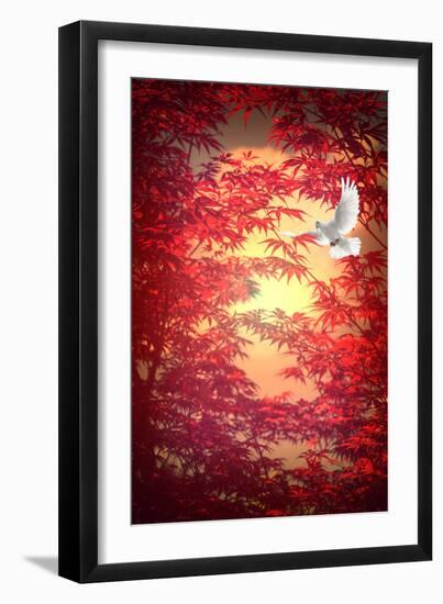 Light as a Feather-Philippe Sainte-Laudy-Framed Photographic Print