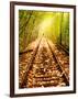 Light at the End of the Line-Nathan Wright-Framed Photographic Print