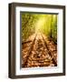 Light at the End of the Line-Nathan Wright-Framed Photographic Print