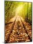 Light at the End of the Line-Nathan Wright-Mounted Photographic Print