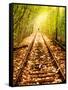 Light at the End of the Line-Nathan Wright-Framed Stretched Canvas