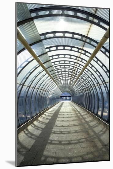 Light at the End of the Tunnel-Adrian Campfield-Mounted Photographic Print