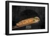 Light At The End Of The Tunnel-NjR Photos-Framed Giclee Print