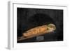 Light At The End Of The Tunnel-NjR Photos-Framed Giclee Print