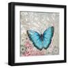 Light Blue Butterfly-Alan Hopfensperger-Framed Art Print