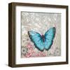 Light Blue Butterfly-Alan Hopfensperger-Framed Art Print