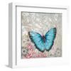 Light Blue Butterfly-Alan Hopfensperger-Framed Art Print