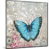 Light Blue Butterfly-Alan Hopfensperger-Mounted Art Print