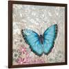 Light Blue Butterfly-Alan Hopfensperger-Framed Art Print