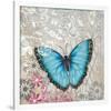 Light Blue Butterfly-Alan Hopfensperger-Framed Art Print