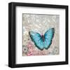 Light Blue Butterfly-Alan Hopfensperger-Framed Art Print