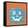 Light Blue Pumpkin-Summer Tali Hilty-Framed Stretched Canvas