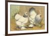 Light Brahmas-Lewis Wright-Framed Premium Giclee Print