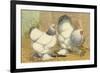 Light Brahmas-Lewis Wright-Framed Premium Giclee Print