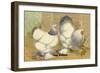 Light Brahmas-Lewis Wright-Framed Art Print