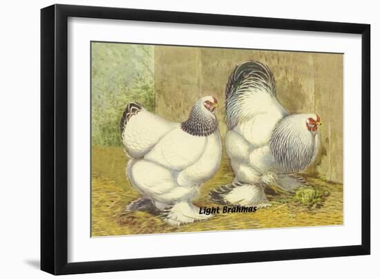 Light Brahmas-Lewis Wright-Framed Art Print