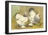 Light Brahmas-Lewis Wright-Framed Art Print