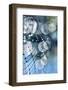 Light Bubbles-Ursula Abresch-Framed Photographic Print