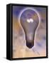 Light Bulb and Dollar Sign-null-Framed Stretched Canvas