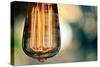 Light Bulb Closeup-null-Stretched Canvas