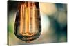 Light Bulb Closeup-null-Stretched Canvas