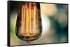 Light Bulb Closeup-null-Framed Stretched Canvas