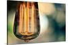 Light Bulb Closeup-null-Stretched Canvas
