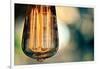 Light Bulb Closeup-null-Framed Photo