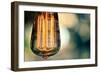 Light Bulb Closeup-null-Framed Photo