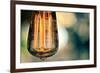 Light Bulb Closeup-null-Framed Photo