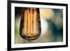 Light Bulb Closeup-null-Framed Photo