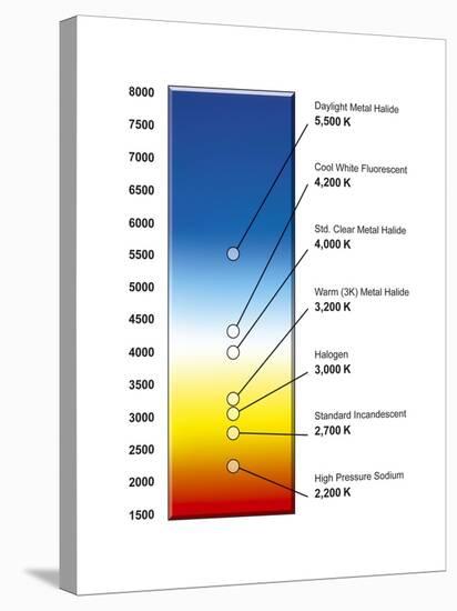 Light Bulb Colour Temperature Spectrum-Henning Dalhoff-Stretched Canvas