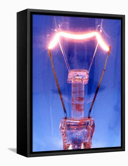 Light Bulb Filament-Victor De Schwanberg-Framed Stretched Canvas