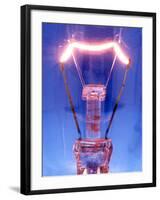 Light Bulb Filament-Victor De Schwanberg-Framed Premium Photographic Print