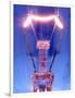 Light Bulb Filament-Victor De Schwanberg-Framed Photographic Print