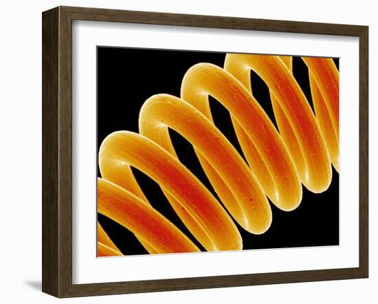 Light Bulb Filament-Susumu Nishinaga-Framed Photographic Print