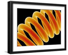 Light Bulb Filament-Susumu Nishinaga-Framed Photographic Print