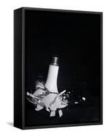 Light Bulb Shattering-null-Framed Stretched Canvas