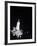 Light Bulb Shattering-null-Framed Photographic Print