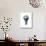 Light Bulb with Planet Earth Inside Glass, Africa and Europe View-null-Stretched Canvas displayed on a wall