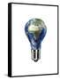 Light Bulb with Planet Earth Inside Glass, Africa and Europe View-null-Framed Stretched Canvas