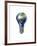 Light Bulb with Planet Earth Inside Glass, Africa and Europe View-null-Framed Art Print