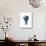 Light Bulb with Planet Earth Inside Glass, Americas View-null-Stretched Canvas displayed on a wall