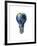 Light Bulb with Planet Earth Inside Glass, Americas View-null-Framed Art Print