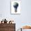 Light Bulb with Planet Earth Inside Glass, Asia View-null-Stretched Canvas displayed on a wall