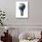 Light Bulb with Planet Earth Inside Glass, Asia View-null-Stretched Canvas displayed on a wall